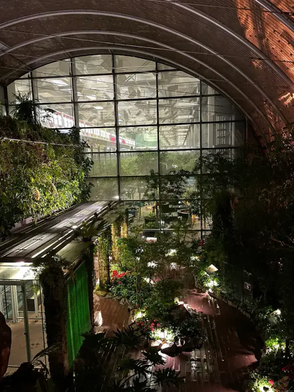 Butterfly Garden - ảnh 3