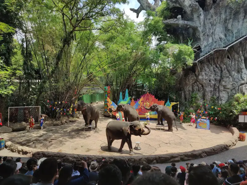 Vườn thú Safari World Thái Lan - ảnh 6