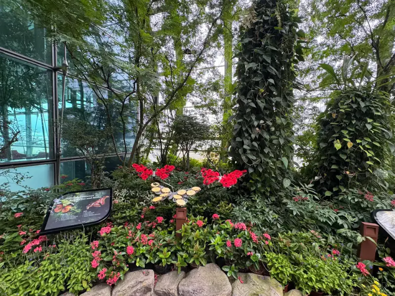 Butterfly Garden - ảnh 2