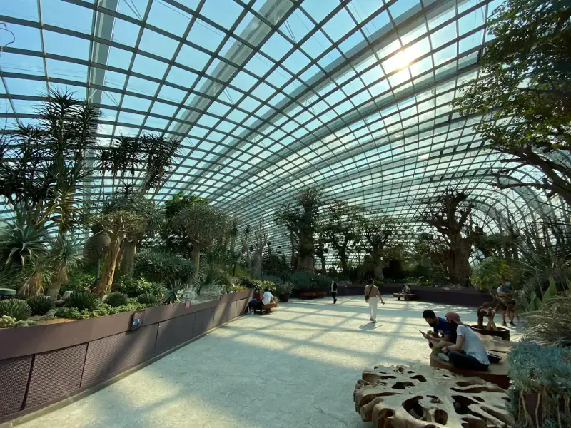 Flower Dome - ảnh 4