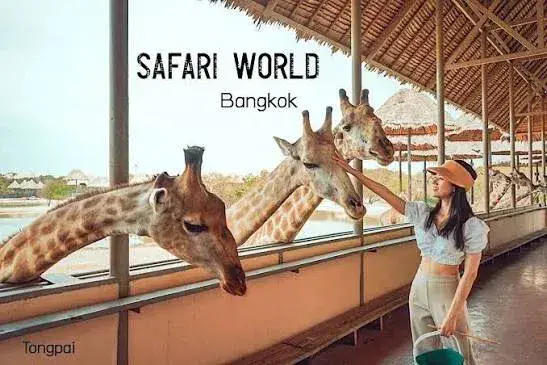 Vườn thú Safari World Thái Lan - ảnh 4