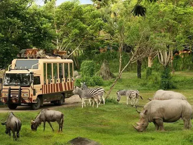 Vườn thú Safari World Thái Lan - ảnh 3